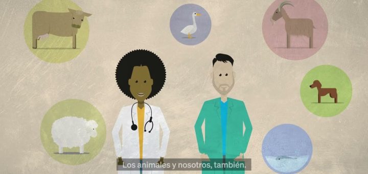Avances en Medicina Veterinaria: Contribuciones a la Salud Humana