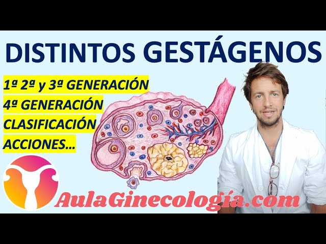 Gestodeno Y Estrogeno