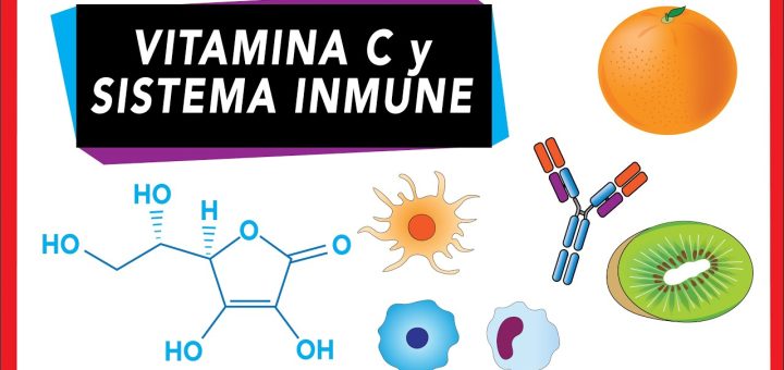 La importancia de la vitamina C para el sistema inmunológico femenino