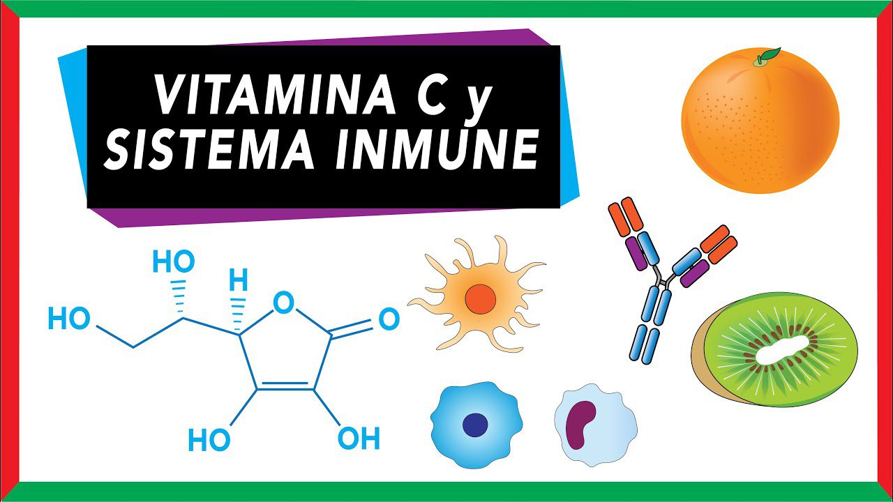 La-importancia-de-la-vitamina-C-para-el-sistema-inmunologico-femenino | SoloSalud.net La importancia de la vitamina C para el sistema inmunológico femenino
