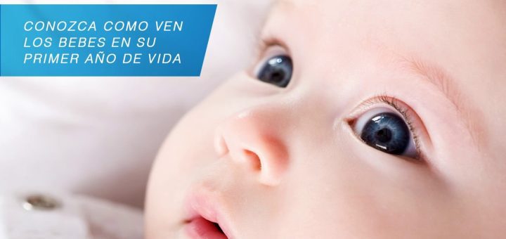 cómo abordar desde el punto de vista psicológico Cómo alimentar a un bebé durante el primer año de vida