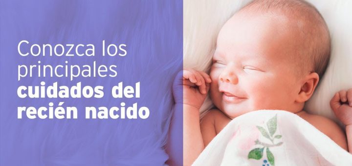 pautas para el cuidado de Cómo alimentar a un bebé durante el primer año de vida
