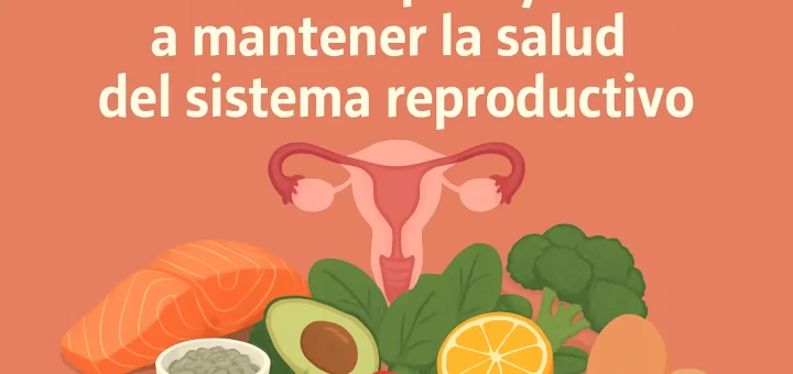 Alimentos que ayudan a mantener la salud del sistema reproductivo
