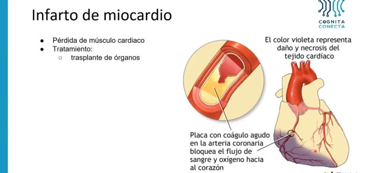 Innovaciones en Terapia Celular: Aplicaciones en la Medicina Actual