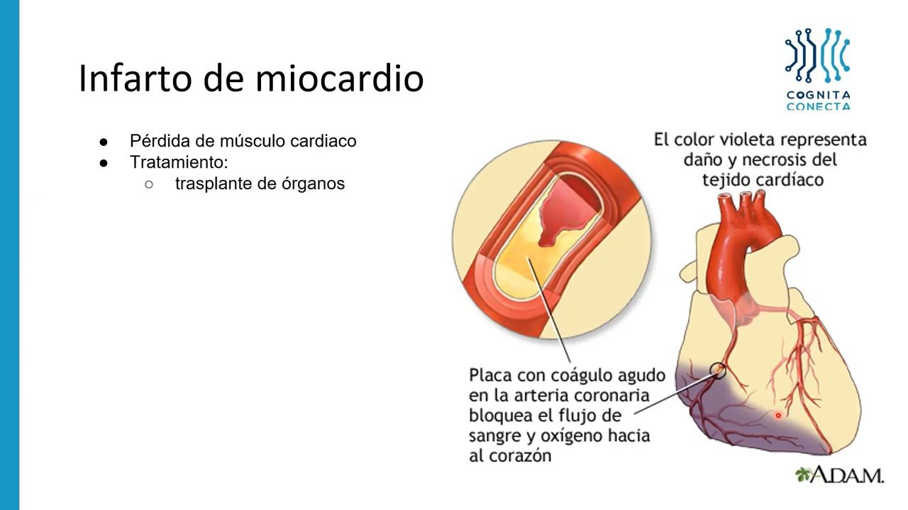 Innovaciones en Terapia Celular: Aplicaciones en la Medicina Actual