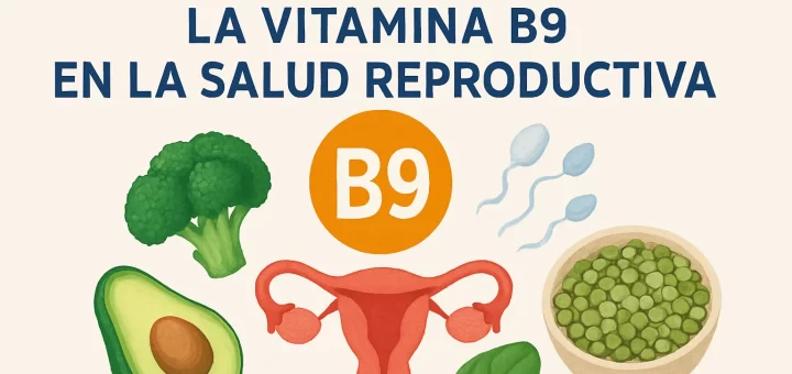 La importancia de la vitamina B9 en la salud reproductiva