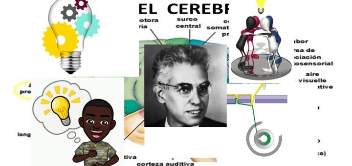Neuropsicología: Entendiendo las Relaciones entre Cerebro y Comportamiento