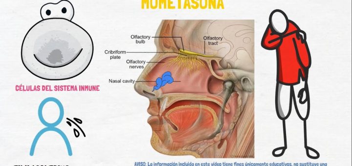 Formoterol Y Mometasona