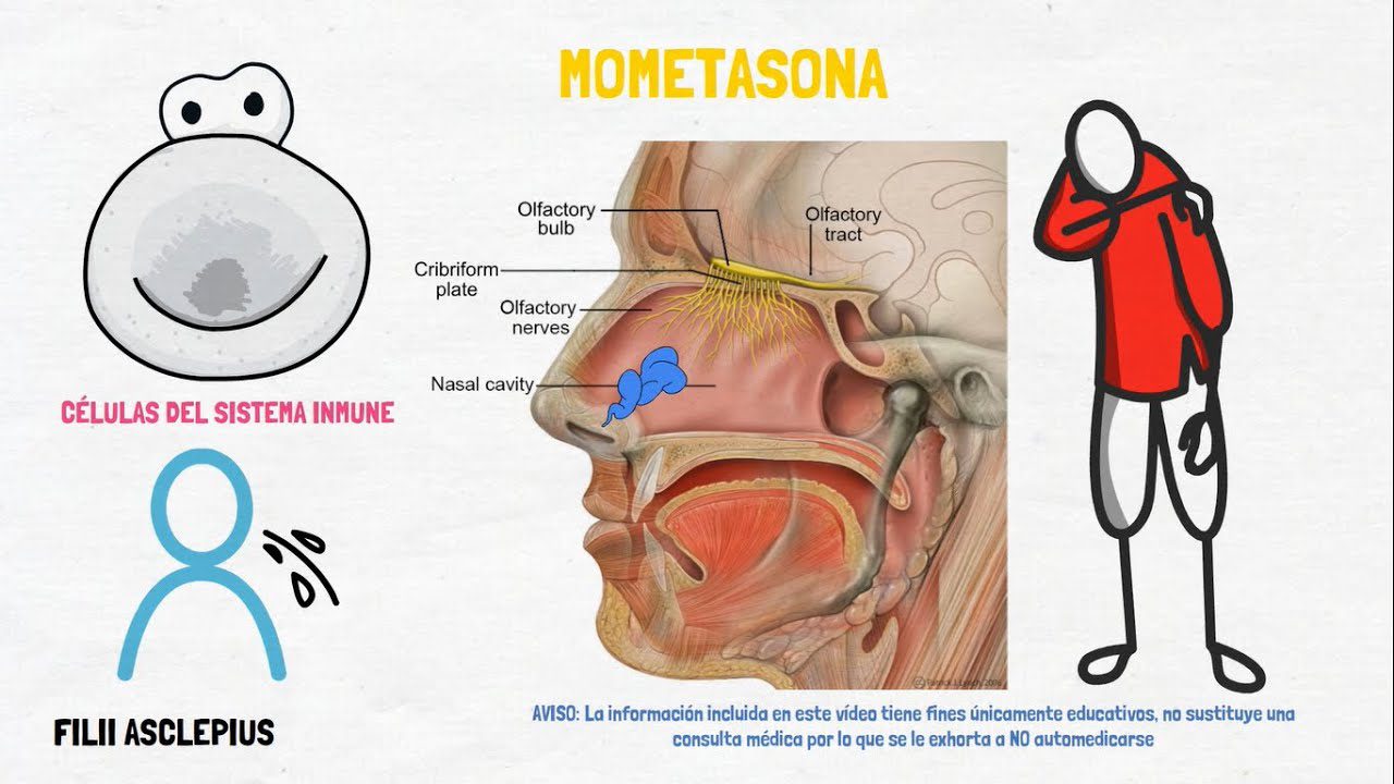 Formoterol Y Mometasona