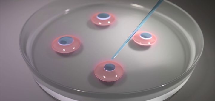 Reproducción Asistida: Avances en Tecnologías de Fertilidad