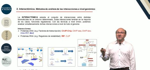 Genómica Funcional: Comprendiendo la Función de los Genes en la Salud