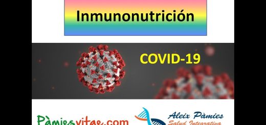 Inmunonutrición: El Papel de la Alimentación en la Respuesta Inmunológica
