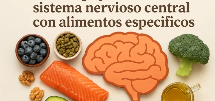 Cómo apoyar la salud del sistema nervioso central con alimentos específicos