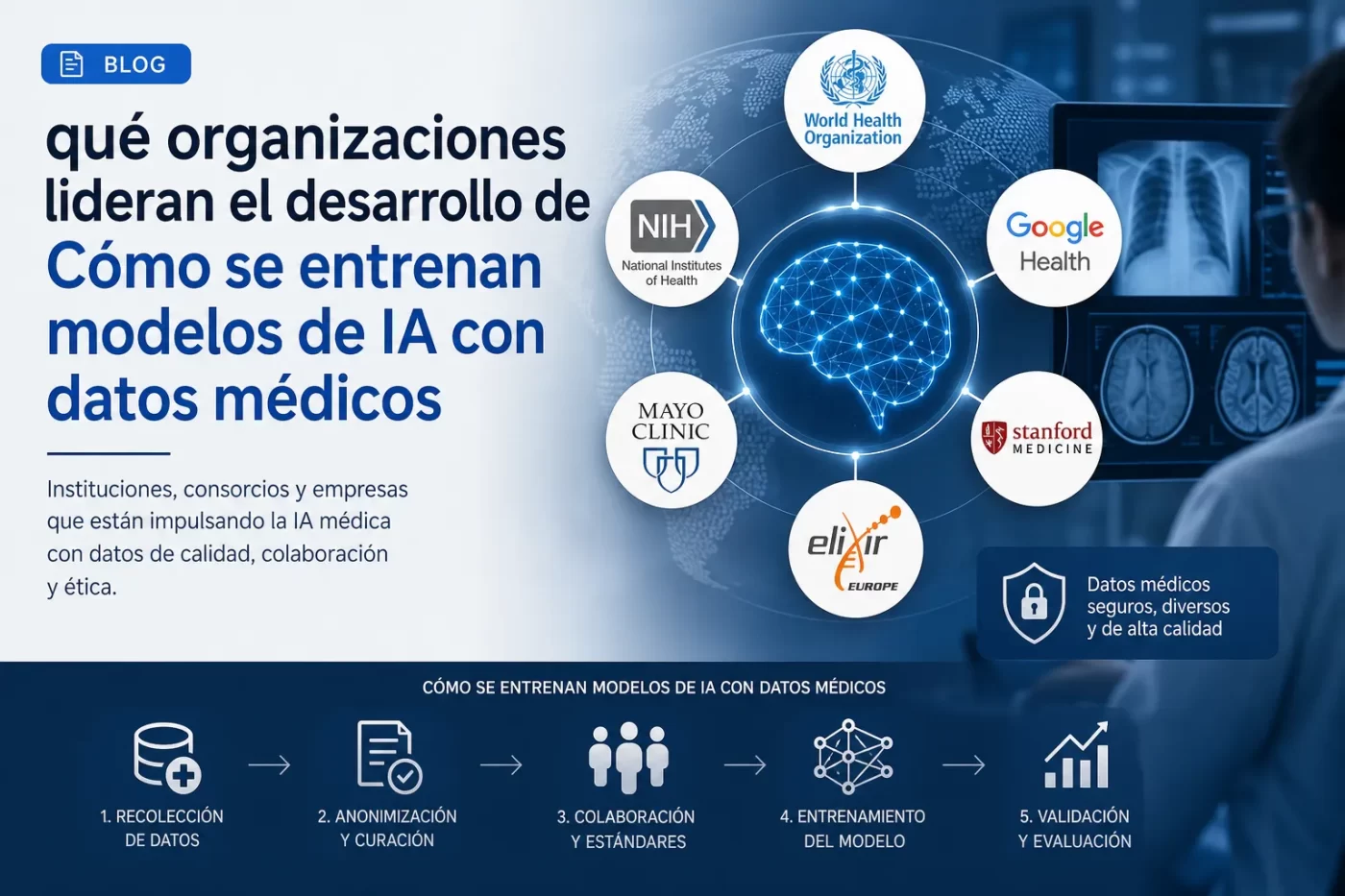 que-organizaciones-lideran-el-desarrollo-de-Como-se-entrenan-modelos-de-IA-con-datos-medicos | SoloSalud.net qué organizaciones lideran el desarrollo de Cómo se entrenan modelos de IA con datos médicos
